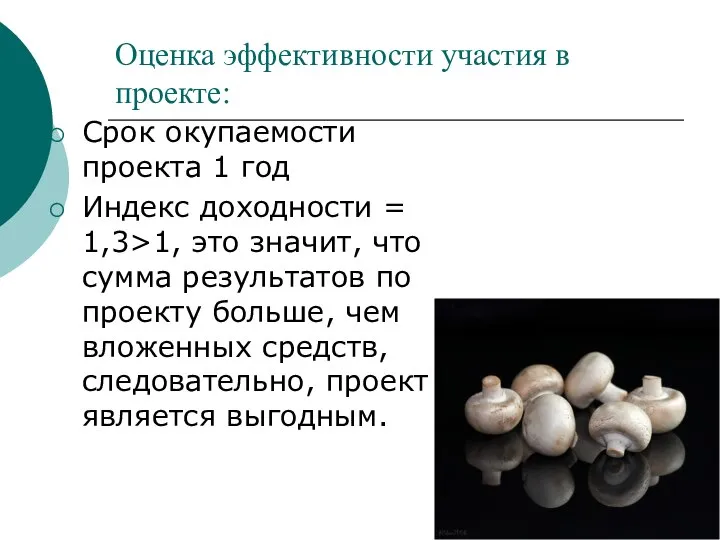 Оценка эффективности участия в проекте: Срок окупаемости проекта 1 год Индекс