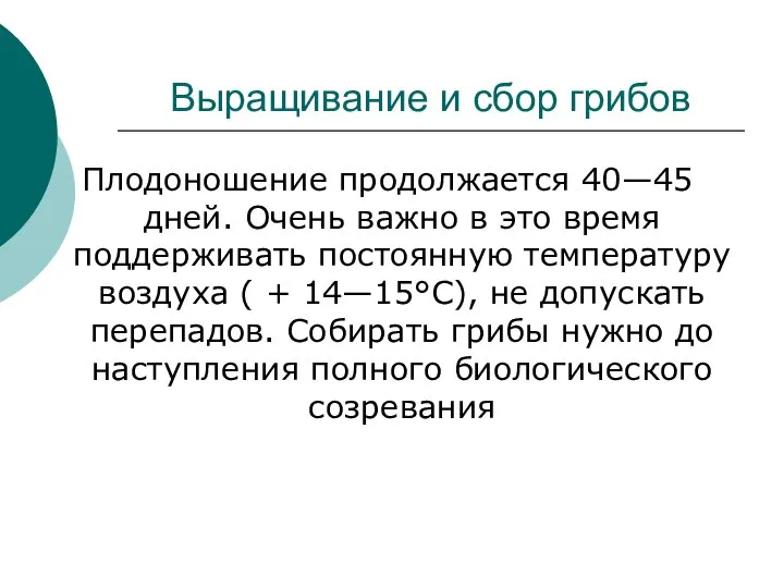 Выращивание и сбор грибов Плодоношение продолжается 40—45 дней. Очень важно в