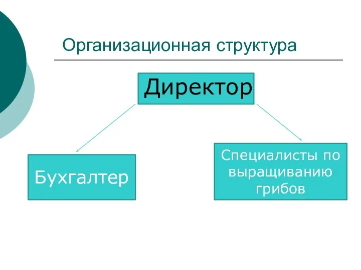 Организационная структура Директор Бухгалтер Специалисты по выращиванию грибов