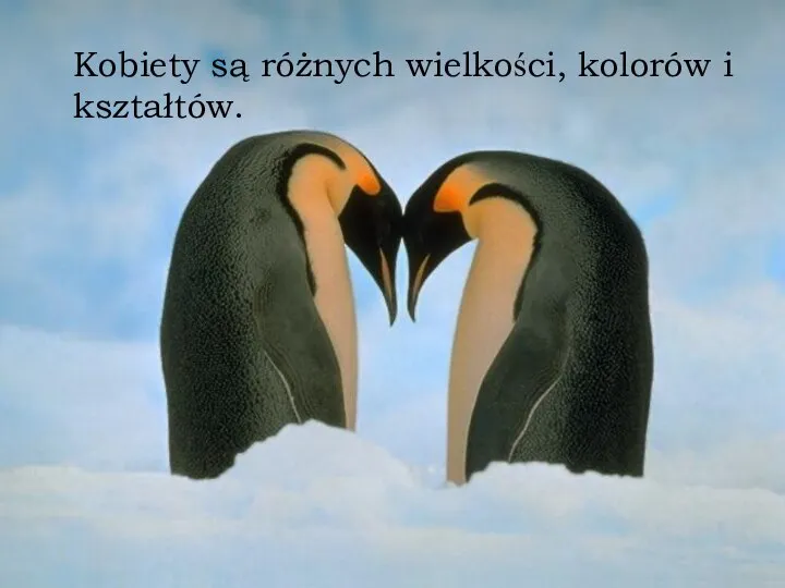 Kobiety są różnych wielkości, kolorów i kształtów. Kobiety są różnych wielkości, kolorów i kształtów.