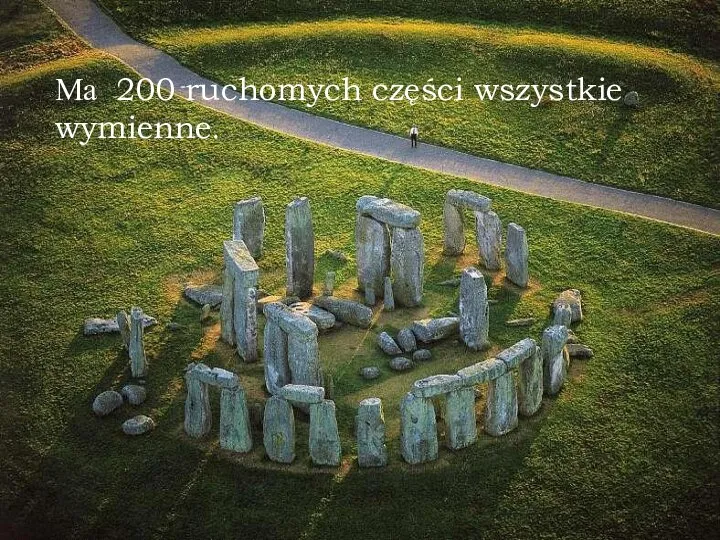 Ma 200 ruchomych części wszystkie wymienne.