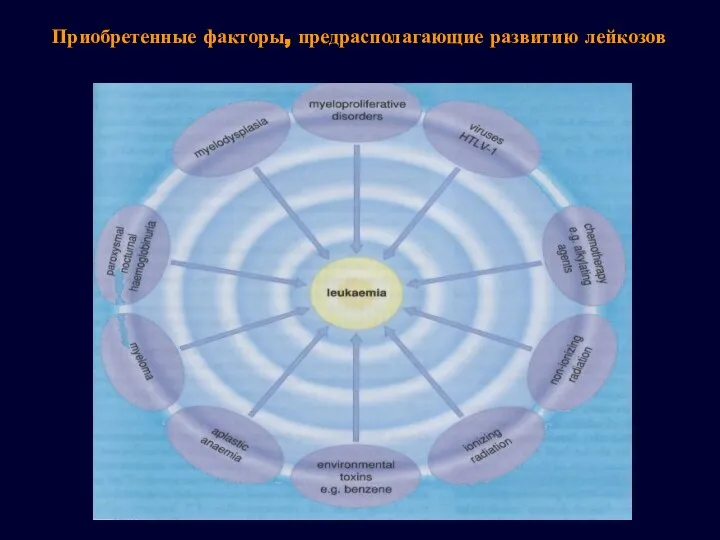 Приобретенные факторы, предрасполагающие развитию лейкозов