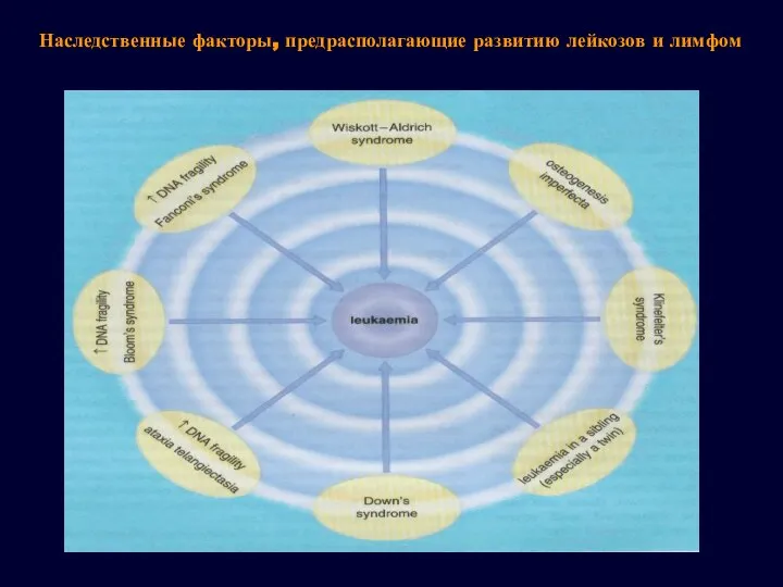 Наследственные факторы, предрасполагающие развитию лейкозов и лимфом