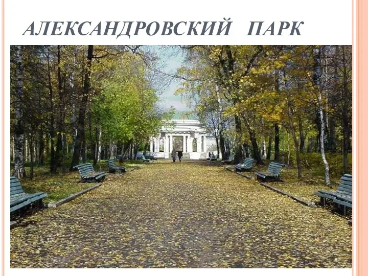 АЛЕКСАНДРОВСКИЙ ПАРК