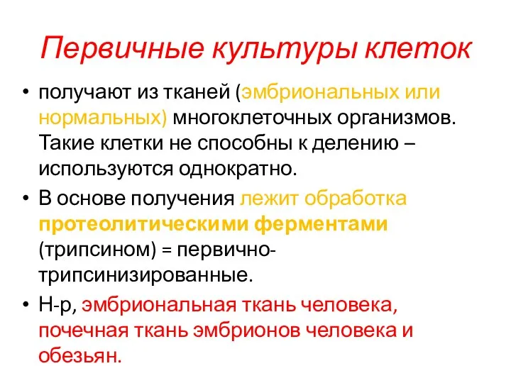 Первичные культуры клеток получают из тканей (эмбриональных или нормальных) многоклеточных организмов.