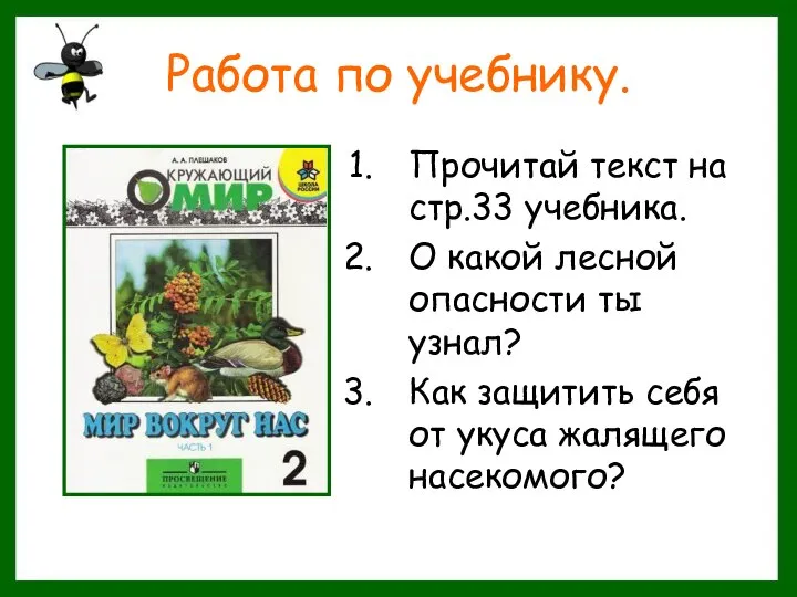 Работа по учебнику. Прочитай текст на стр.33 учебника. О какой лесной