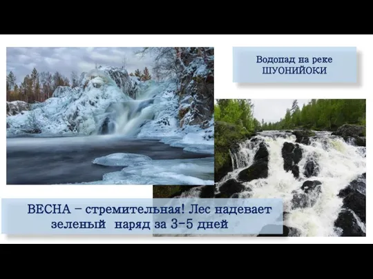 ВЕСНА – стремительная! Лес надевает зеленый наряд за 3-5 дней Водопад на реке ШУОНИЙОКИ