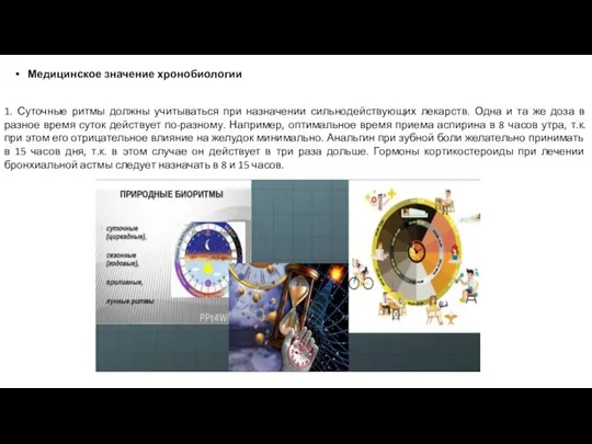 Медицинское значение хронобиологии 1. Суточные ритмы должны учитываться при назначении сильнодействующих