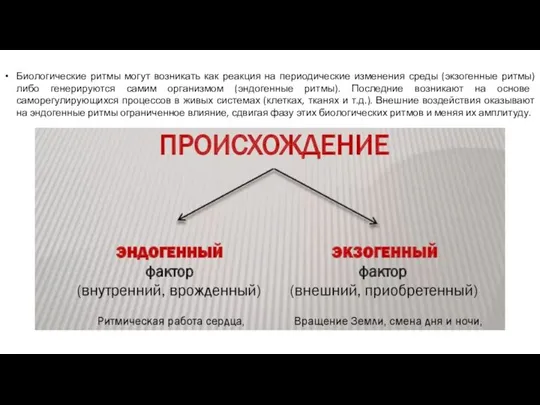 Биологические ритмы могут возникать как реакция на периодические изменения среды (экзогенные