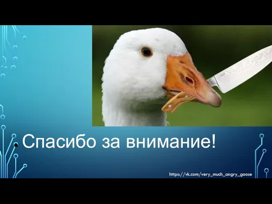 https://vk.com/very_much_angry_goose Спасибо за внимание!