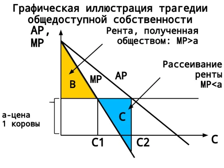 B Графическая иллюстрация трагедии общедоступной собственности a-цена 1 коровы MP C1