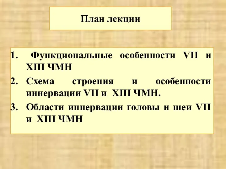 Функциональные особенности VII и XIII ЧМН Схема строения и особенности иннервации