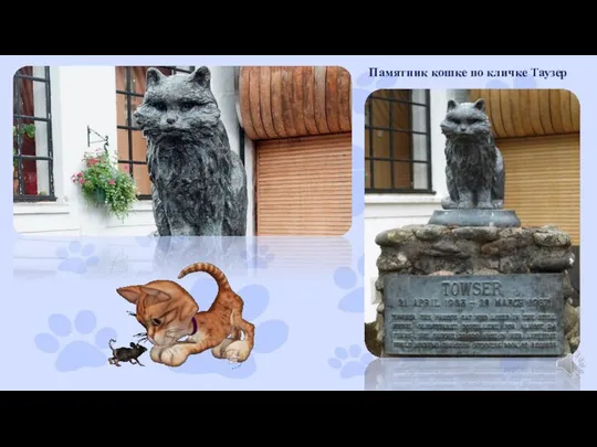 Памятник кошке по кличке Таузер