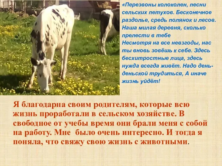 Я благодарна своим родителям, которые всю жизнь проработали в сельском хозяйстве.