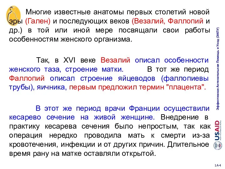 Многие известные анатомы первых столетий новой эры (Гален) и последующих веков