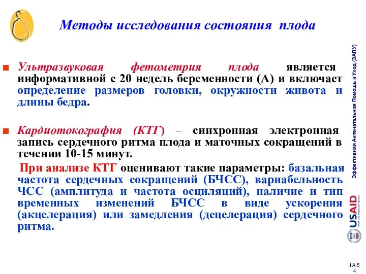 Ультразвуковая фетометрия плода является информативной с 20 недель беременности (A) и