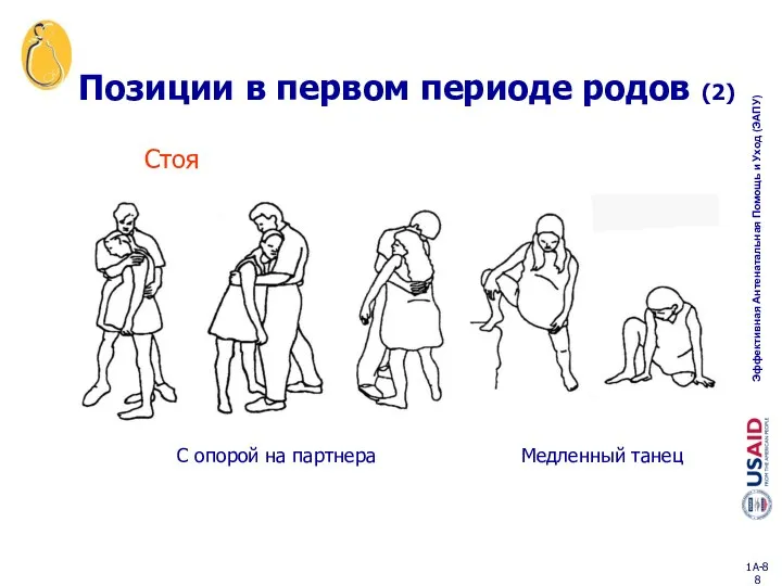 Позиции в первом периоде родов (2) Стоя С опорой на партнера Медленный танец