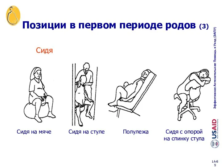 Позиции в первом периоде родов (3) Сидя на мяче Сидя Сидя