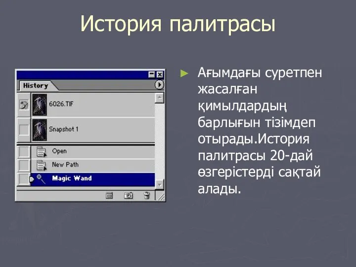 История палитрасы Ағымдағы суретпен жасалған қимылдардың барлығын тізімдеп отырады.История палитрасы 20-дай өзгерістерді сақтай алады.