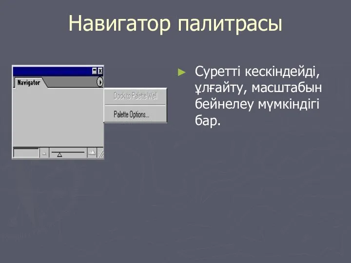 Навигатор палитрасы Суретті кескіндейді, ұлғайту, масштабын бейнелеу мүмкіндігі бар.