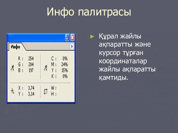 Инфо палитрасы Құрал жайлы ақпаратты және курсор тұрған координаталар жайлы ақпаратты қамтиды.