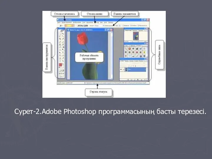 Сурет-2.Adobe Photoshop программасының басты терезесі.