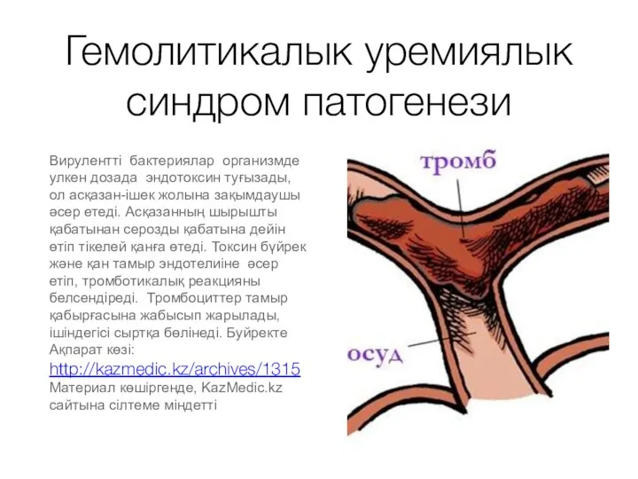 Гемолитикалык уремиялык синдром патогенези Вирулентті бактериялар организмде улкен дозада эндотоксин туғызады,