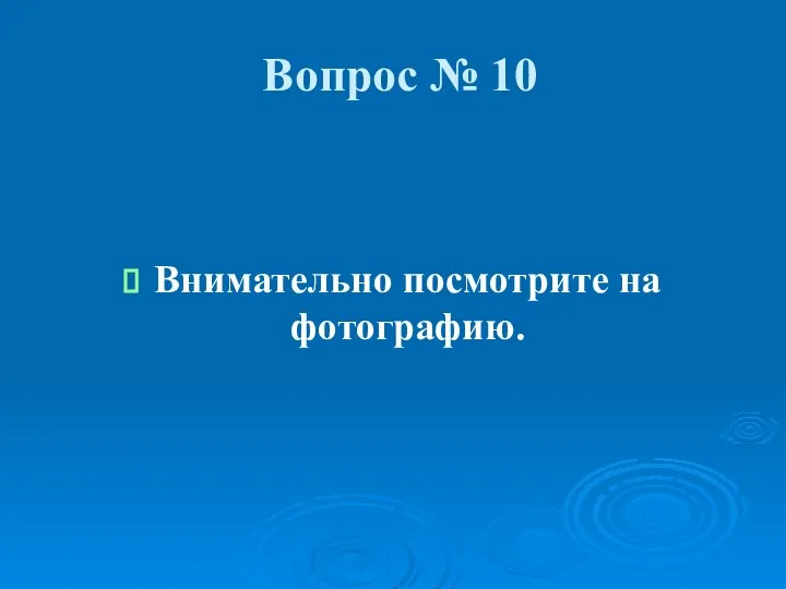 Вопрос № 10 Внимательно посмотрите на фотографию.