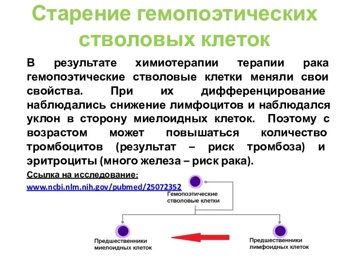 В результате химиотерапии терапии рака гемопоэтические стволовые клетки меняли свои свойства.