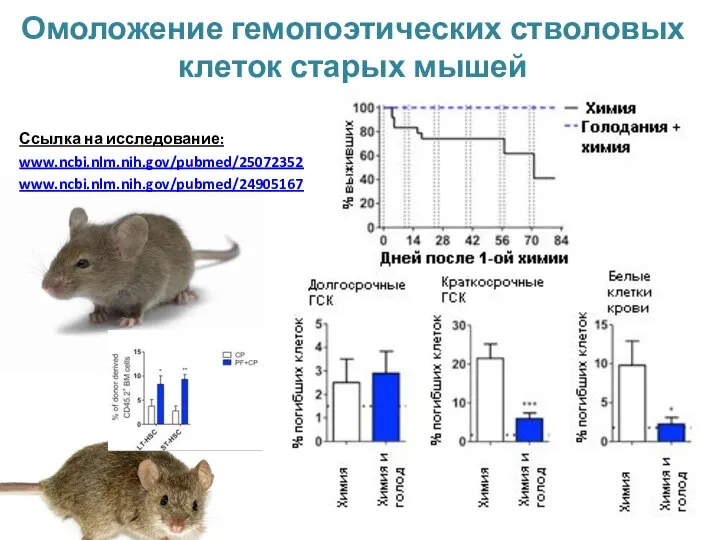 Омоложение гемопоэтических стволовых клеток старых мышей Ссылка на исследование: www.ncbi.nlm.nih.gov/pubmed/25072352 www.ncbi.nlm.nih.gov/pubmed/24905167