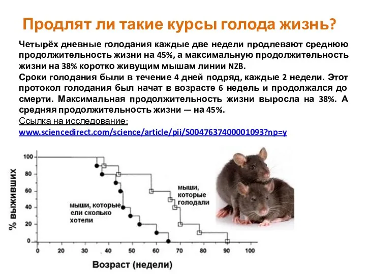 Продлят ли такие курсы голода жизнь? Четырёх дневные голодания каждые две