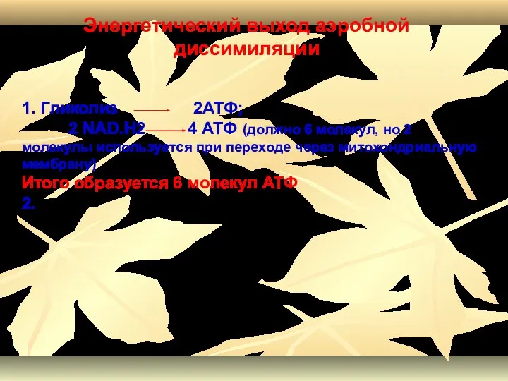 Энергетический выход аэробной диссимиляции 1. Гликолиз 2АТФ; 2 NAD.H2 4 АТФ