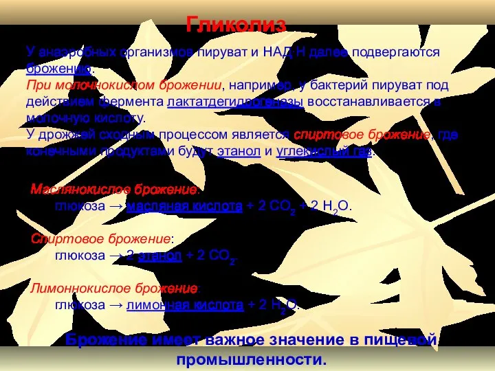 Маслянокислое брожение: глюкоза → масляная кислота + 2 CO2 + 2