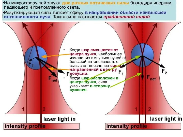 На микросферу действуют две разных оптических силы благодаря инерции падающего и