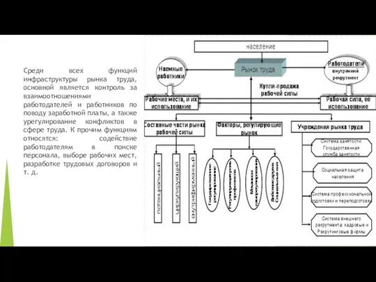 Среди всех функций инфраструктуры рынка труда, основной является контроль за взаимоотношениями