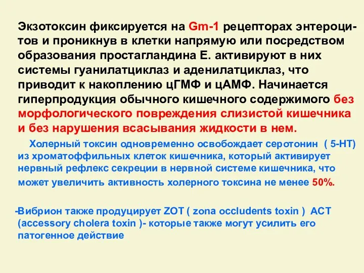 Экзотоксин фиксируется на Gm-1 рецепторах энтероци-тов и проникнув в клетки напрямую