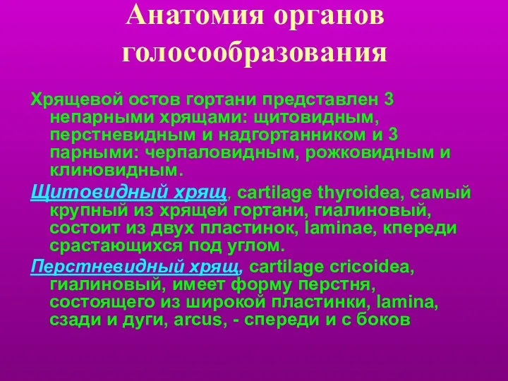 Анатомия органов голосообразования Хрящевой остов гортани представлен 3 непарными хрящами: щитовидным,