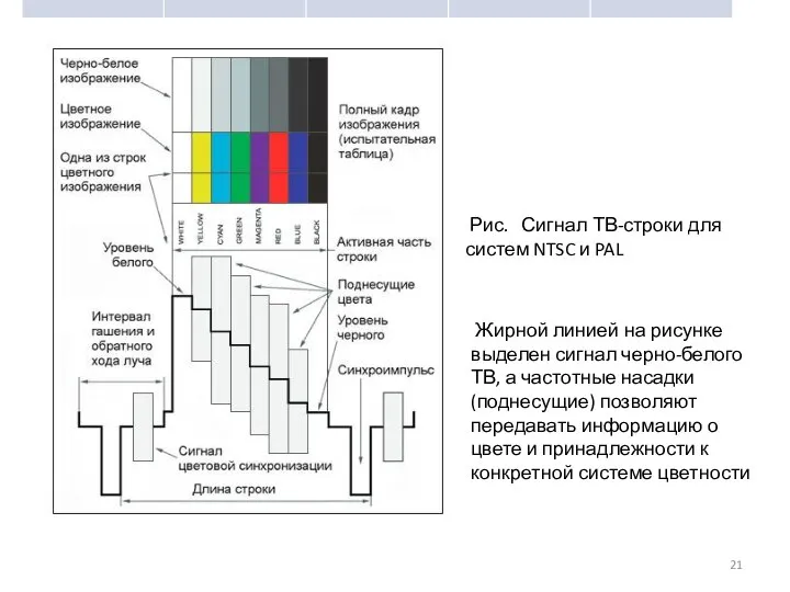 Рис. Сигнал ТВ-строки для систем NTSC и PAL Жирной линией на