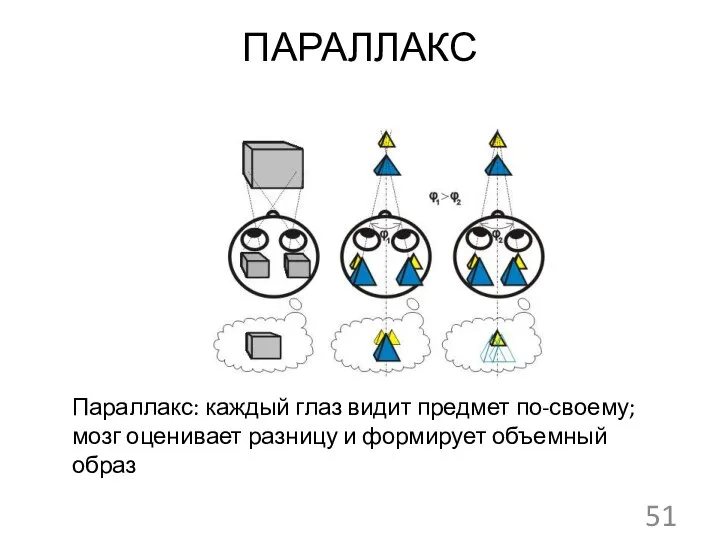 ПАРАЛЛАКС Параллакс: каждый глаз видит предмет по-своему; мозг оценивает разницу и формирует объемный образ