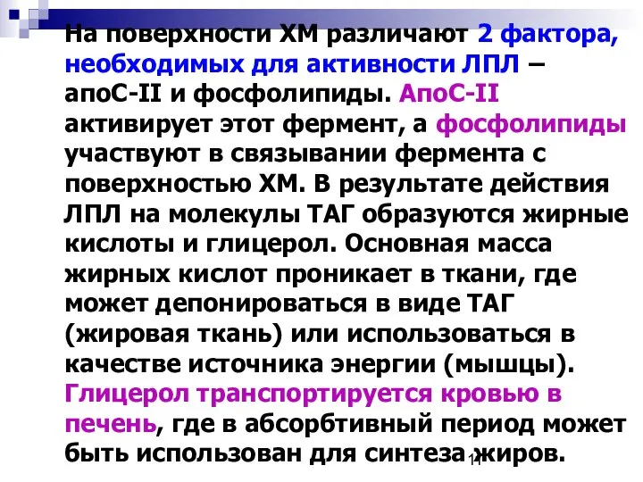 На поверхности ХМ различают 2 фактора, необходимых для активности ЛПЛ –