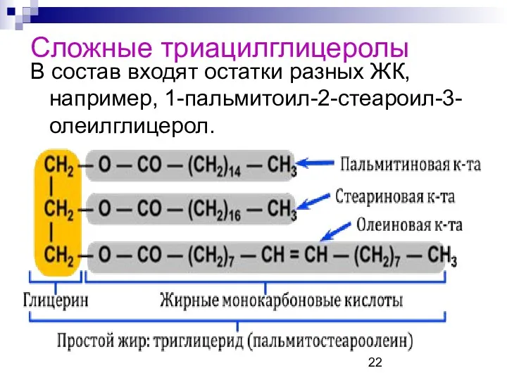 Сложные триацилглицеролы В состав входят остатки разных ЖК, например, 1-пальмитоил-2-стеароил-3-олеилглицерол.