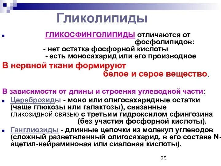 Гликолипиды ГЛИКОСФИНГОЛИПИДЫ отличаются от фосфолипидов: - нет остатка фосфорной кислоты -