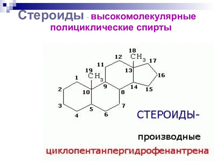 Стероиды - высокомолекулярные полициклические спирты