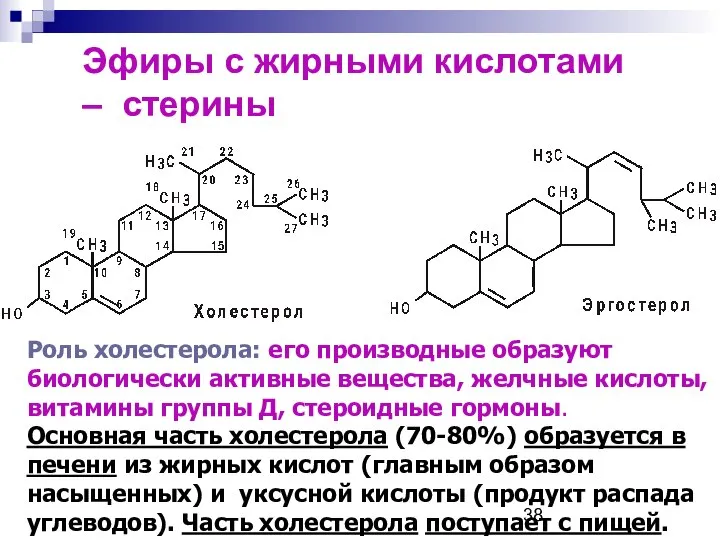Эфиры с жирными кислотами – стерины Роль холестерола: его производные образуют