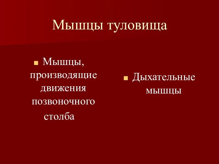 Мышцы туловища Мышцы, производящие движения позвоночного столба Дыхательные мышцы