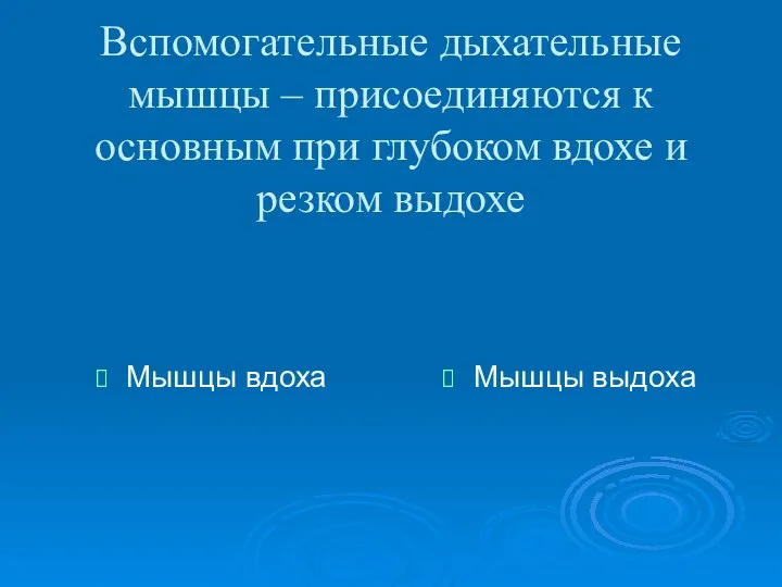 Вспомогательные дыхательные мышцы – присоединяются к основным при глубоком вдохе и