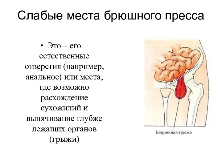 Слабые места брюшного пресса Это – его естественные отверстия (например, анальное)