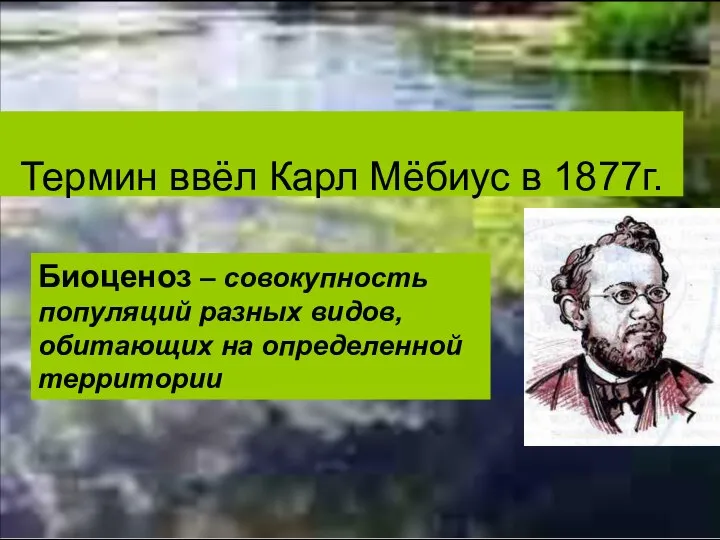 Термин ввёл Карл Мёбиус в 1877г. Биоценоз – совокупность популяций разных видов, обитающих на определенной территории