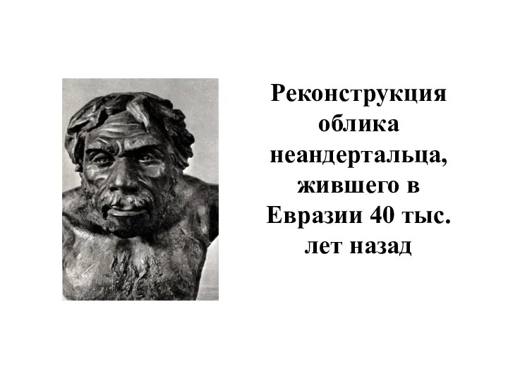 Реконструкция облика неандертальца, жившего в Евразии 40 тыс. лет назад