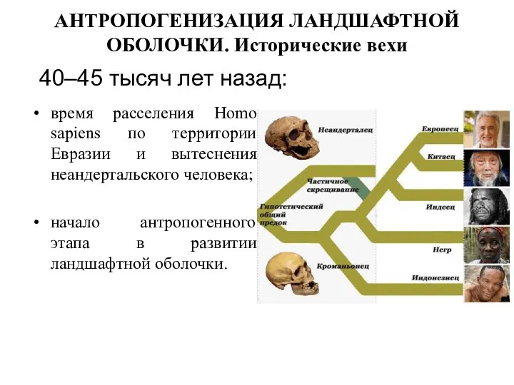 АНТРОПОГЕНИЗАЦИЯ ЛАНДШАФТНОЙ ОБОЛОЧКИ. Исторические вехи время расселения Homo sapiens по территории